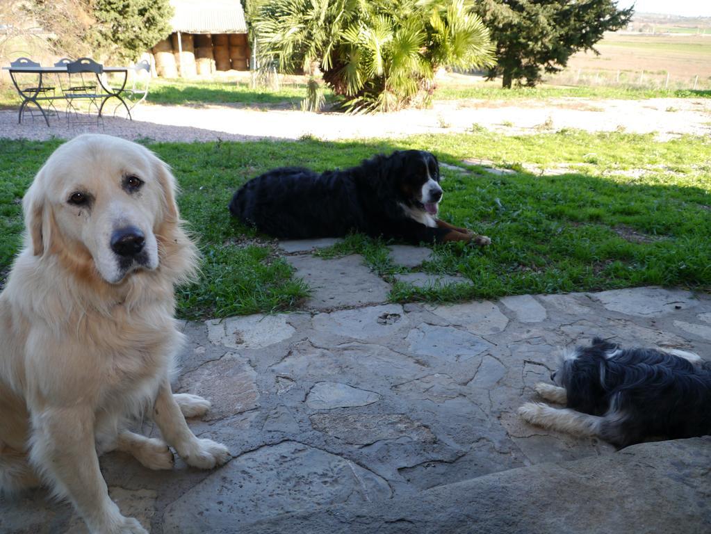 Agriturismo La Valentina Nuova Talamone Bagian luar foto