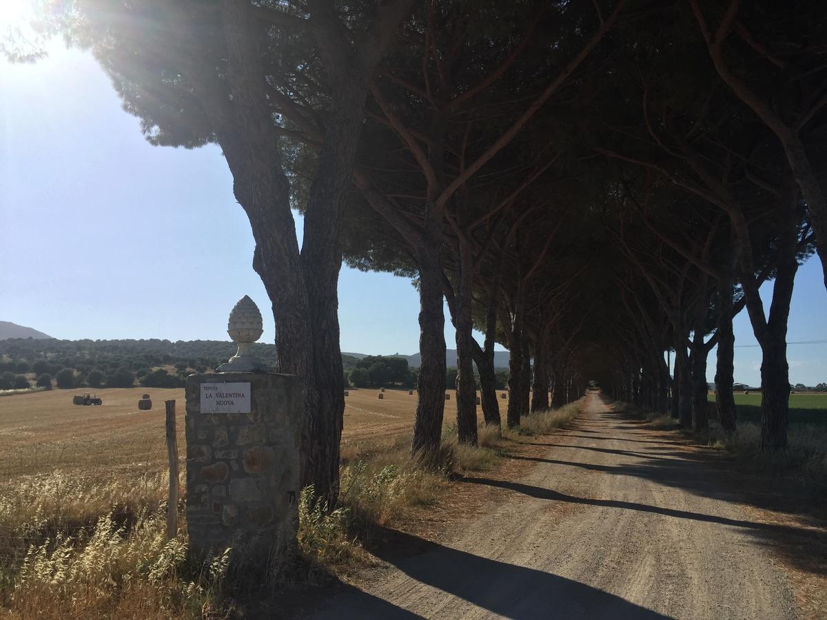 Agriturismo La Valentina Nuova Talamone Bagian luar foto