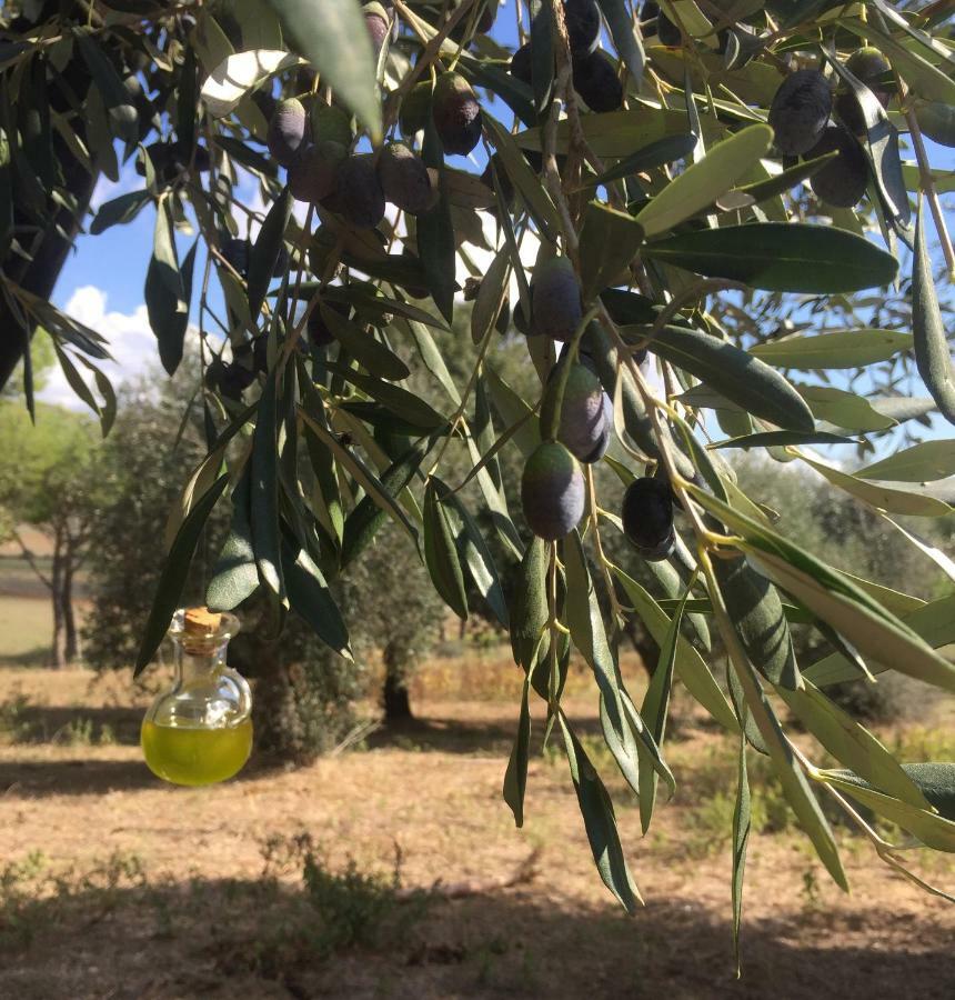Agriturismo La Valentina Nuova Talamone Bagian luar foto