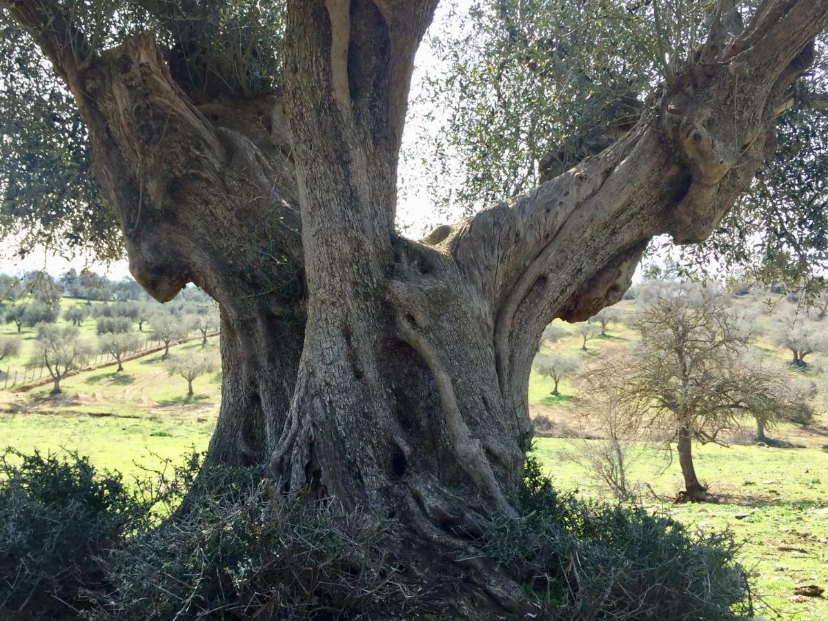 Agriturismo La Valentina Nuova Talamone Bagian luar foto