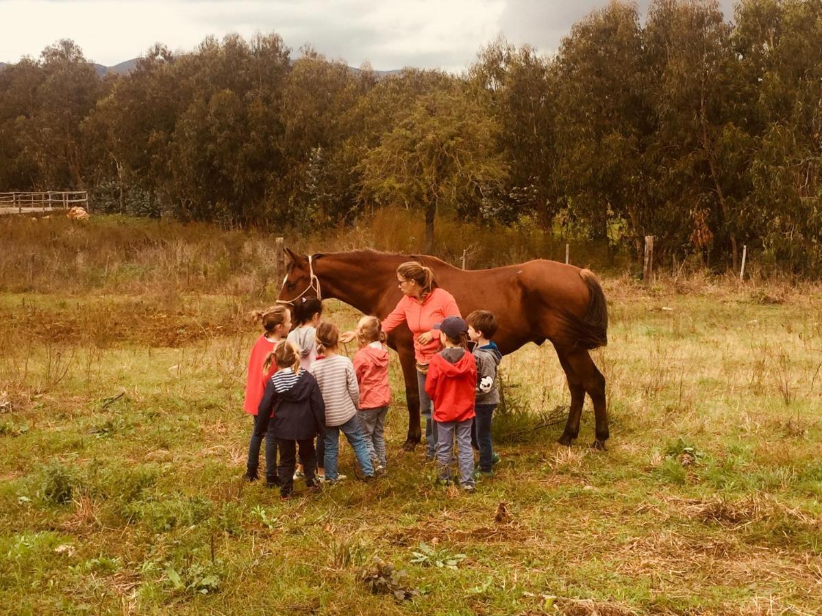 Agriturismo La Valentina Nuova Talamone Bagian luar foto